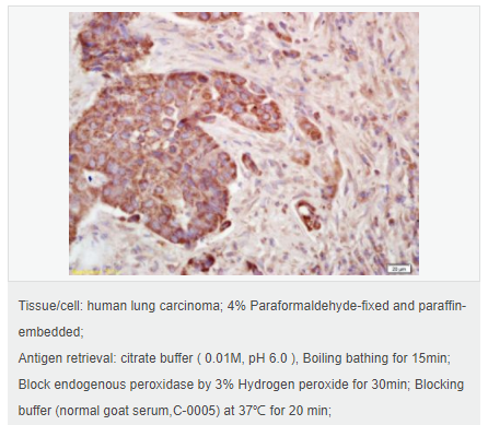 6052aaa83504e.png image.png