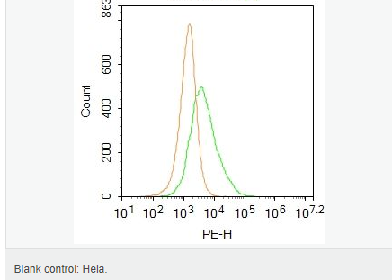 605446aa9e123.png image.png