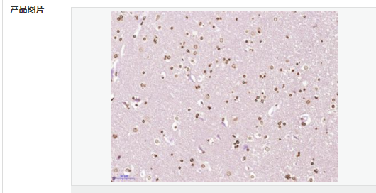 6057fd28463ec.png image.png