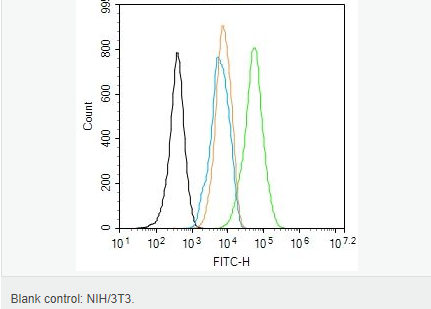 605949beef478.png image.png