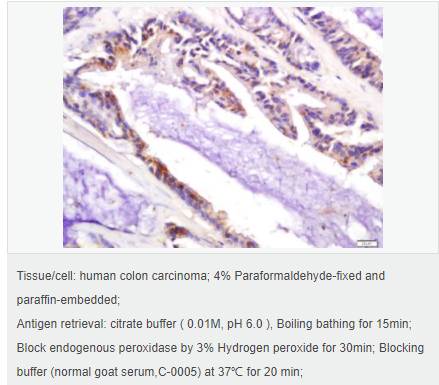 60594b7b13edc.png image.png