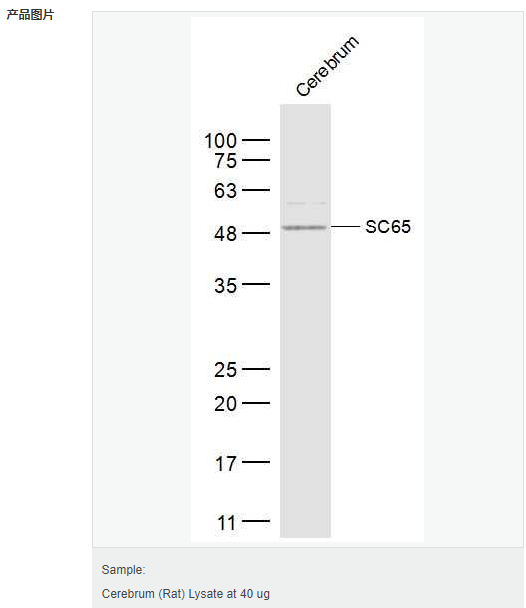 60595a0183d6a.png image.png