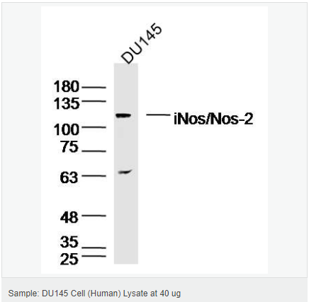 60595cd6cd661.png image.png