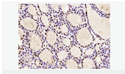 605c40d1a2b0e.png image.png