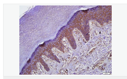 605d7654580cf.png image.png