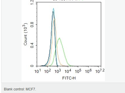 605d76733ac4b.png image.png