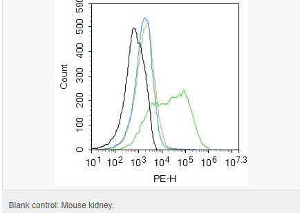 605d76894e34f.png image.png