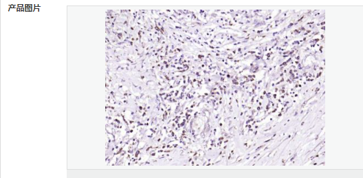 605d77962a0f2.png image.png