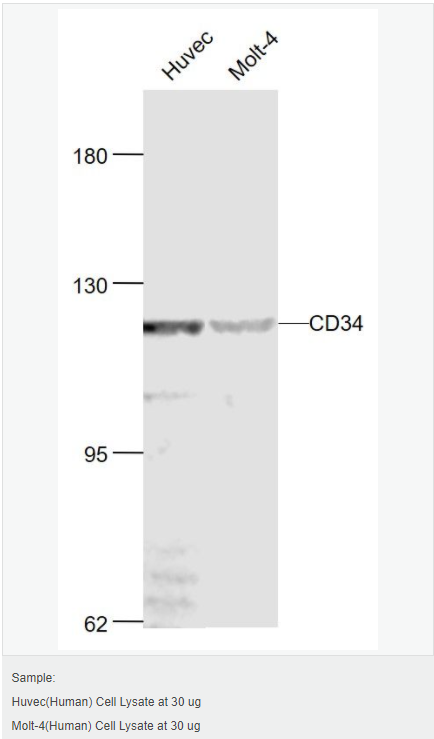 6064252ef08c1.png image.png