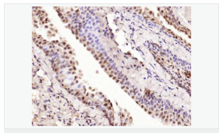 6066adcfc6786.png image.png