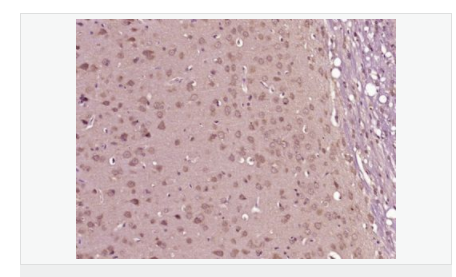 606bba2209437.png image.png