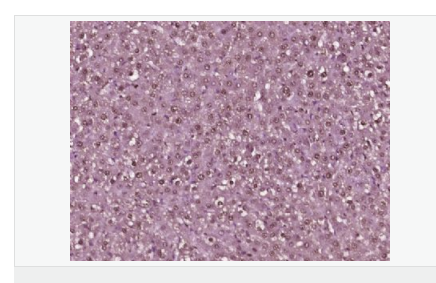 60763dc29ca62.png image.png