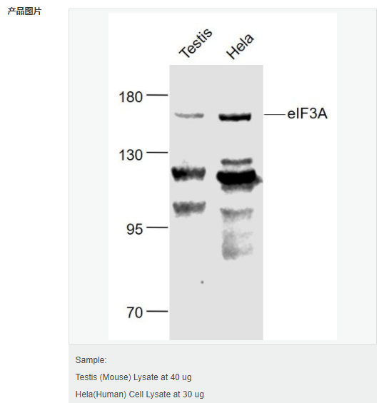 6076577cb1ad3.png image.png