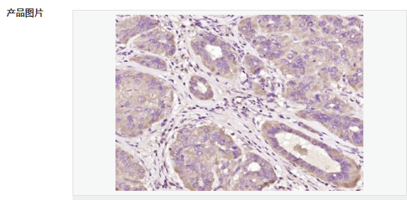 60767c082b997.png image.png