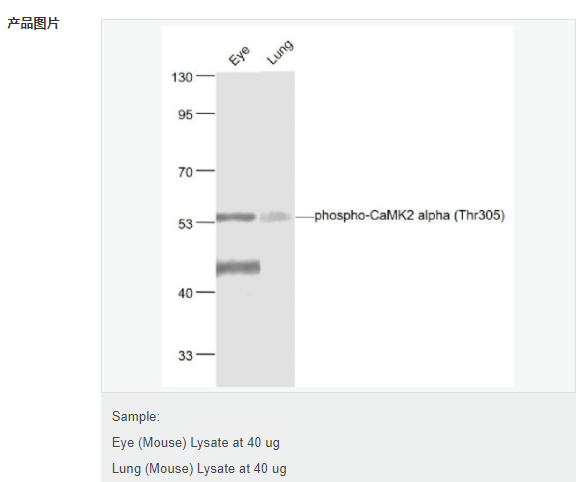 607795c35627d.png image.png