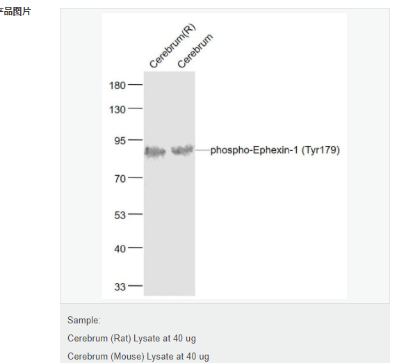 6078e0eae57bf.png image.png